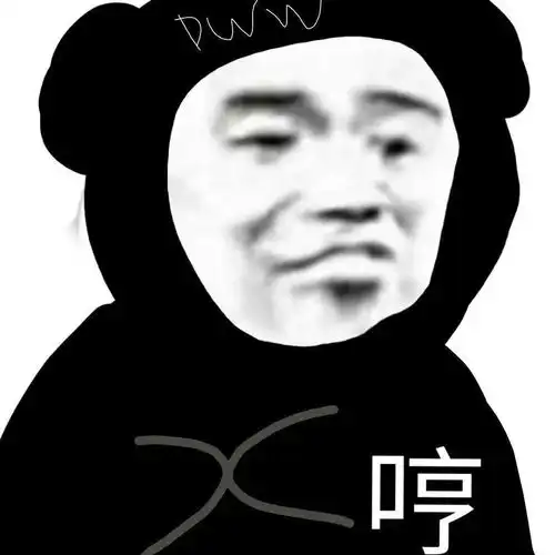  熊猫头表情包i又开始做梦了是吗