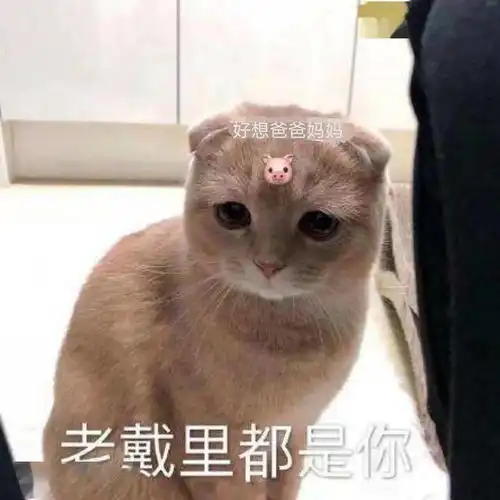  家长驾道秋天的第一句叮嘱,你收到了吗