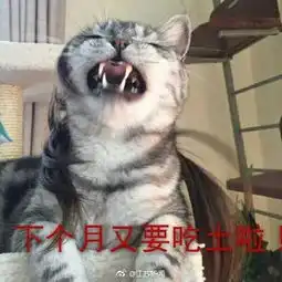  发布众议堂说说双十一这天,你败了多少