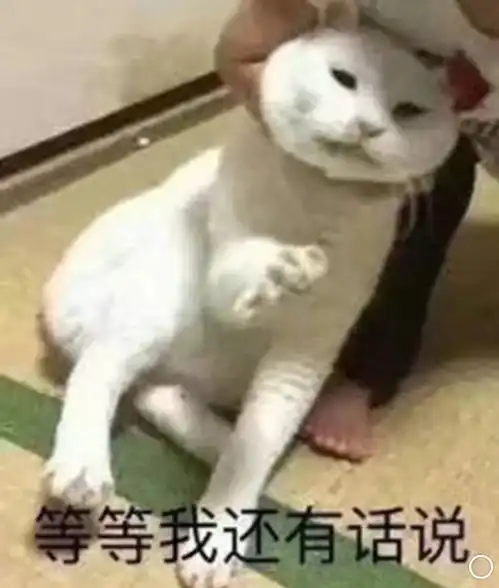  国庆准备搞次大事情