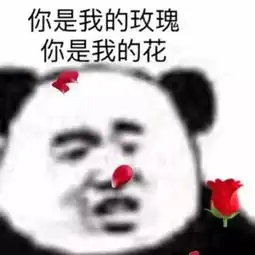  收藏多年的表情包,斗图必备