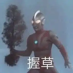  表情包微信聊天套路表情包小动物表情包可爱喵星人表情包