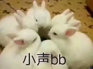  旅行箱里有什么就是它跟着我走遍大江南北