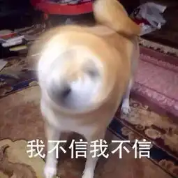  不敢相信,世界地图,你竟然骗了我这么多年