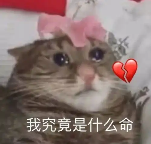  委屈表情包钱不够花了