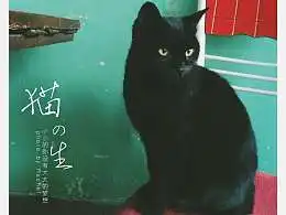  巴黎左岸的小镇的推荐内容zcool