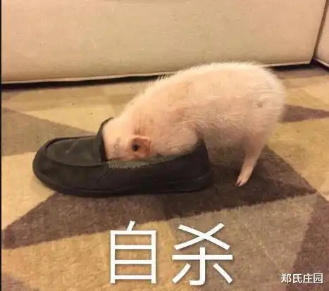  因为停电,被困在自动扶梯上将近两个小时是自动扶梯而不是电梯吗腾讯新闻