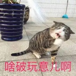  分享一波爆笑表情包最后一张可以说是很形象了