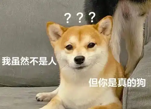  为了新来的扫地机器人,我差点把自家狗子给扔了