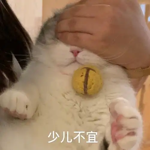  中了拖地猫的毒,太可爱了