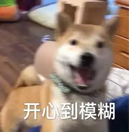  狗狗趁主人不注意把一整袋木耳叼进了洗衣机里,结果全泡发了.....
