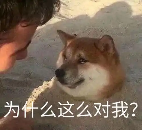  细细研究每一个孤儿作风的人,你会发现都拿的是主角剧本