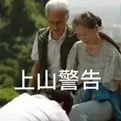  隐秘的角落表情包大全