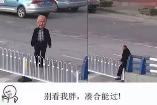  还敢交通违法吗当心警察蜀黍把你做成表情包