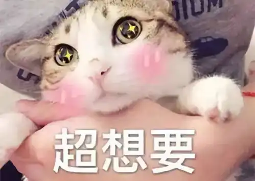  猫养久了,这嘴巴就开始控制不住了...