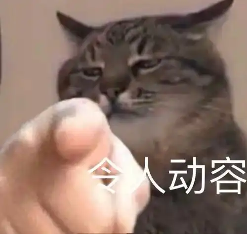  抖音超火的指人表情包指到谁请我喝奶茶