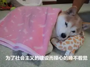  做了几个汪星人的表情包,无水印