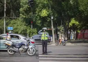  怒吼也能萌萌哒,这位交警帅蜀黍的执法表情包火了