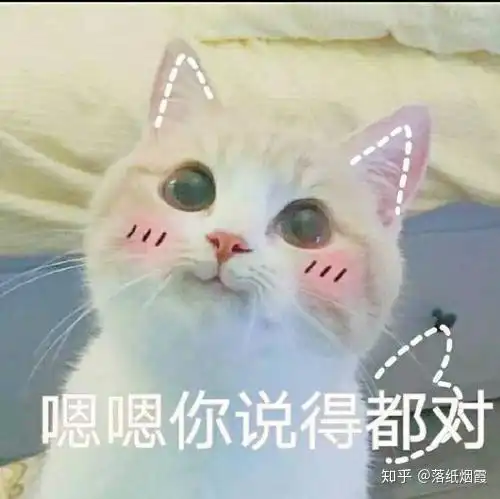可爱猫咪表情包斗图专用