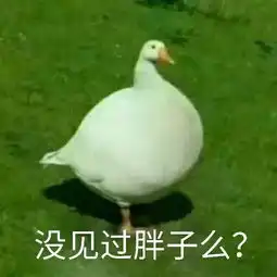  不可思议叶集90后到底经历了什么