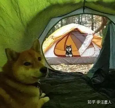  我就想当个废柴,肿么了