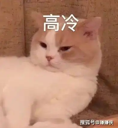  最新表情包图片一生只能一起跳一次舞的人