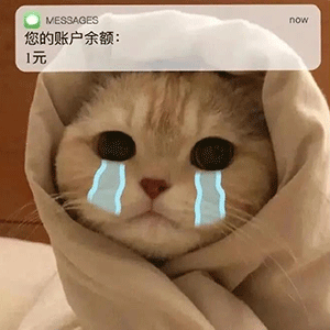 勉强微笑表情包gif东京