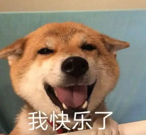  今日份表情包砰砰在左边,你在砰砰里