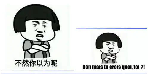  聊天尬住不如回复一个法语表情包