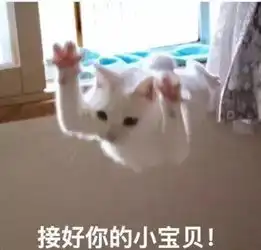 猫星人选美架场了你的票给谁