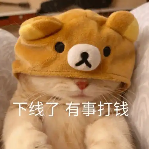  e句话看天下丨晒宠物照被网友劝生娃支持周海媚怼网友