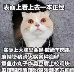  听说你爱嘴炮式减肥别着急,先送你一波表情包