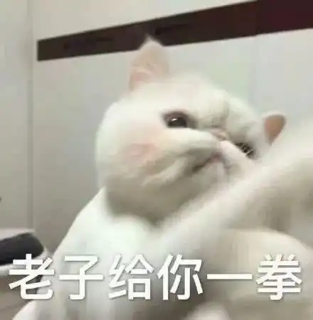  吸猫吗
