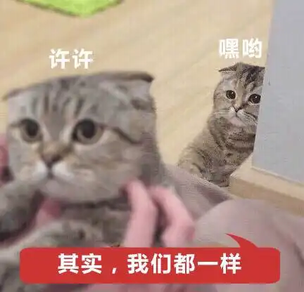  别让戏精父母给孩子起名,他们为了文艺啥都干得出来