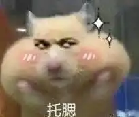  动物高糊表情包无水印版