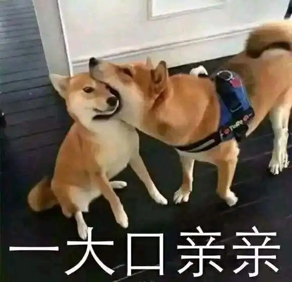  有用