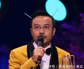  杜海涛祝沈梦辰新婚快乐,早生贵子,谁注意汪涵的表情了