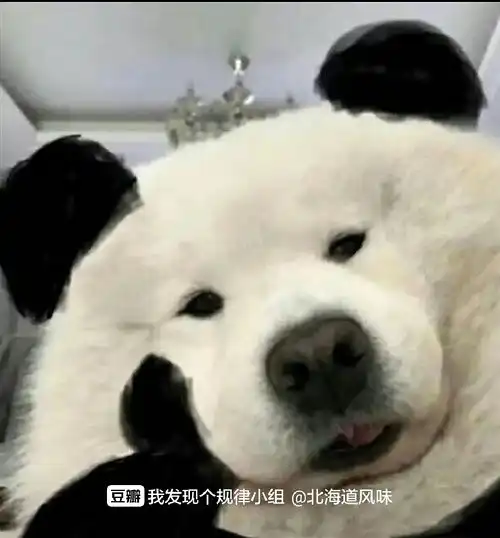  长知识