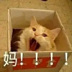  17级新生到暨大以后,每个月需要多少钱生活费