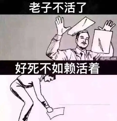 摆烂是什么意思表情包朱