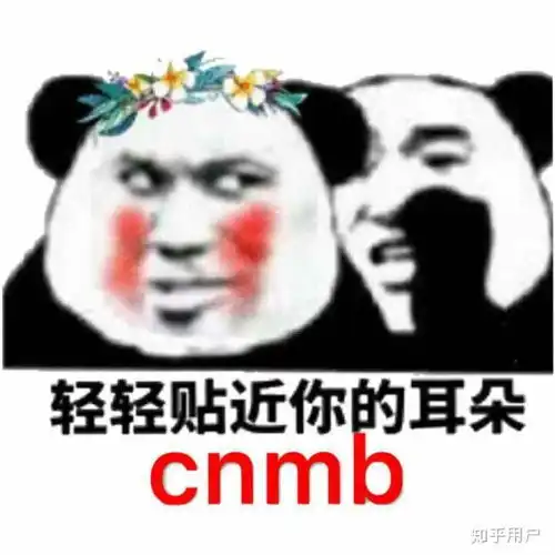 橙交表情包什么意思改变