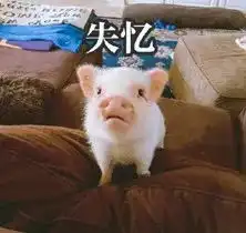  女生产后那些事生完娃忘记带脑子出院