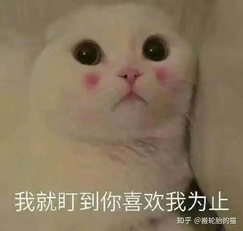  敷尔佳灯泡膜实测分享美白提亮真的那么神吗