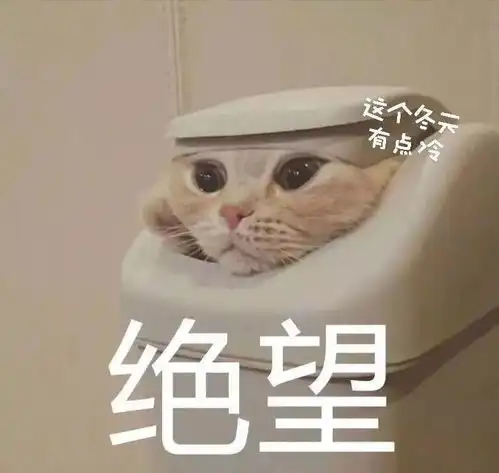  你今天,脱发了吗