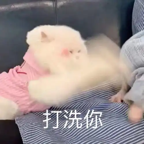  今日份表情包我爱你我超乖