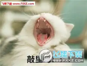  敲里吗表情大合集下载敲里吗猫咪表情高清无水印下载飞翔下载