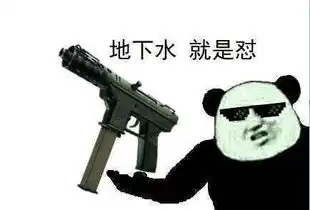  盘点csgo中最贵的武器皮肤,纪念品龙狙第三,十万美金第二