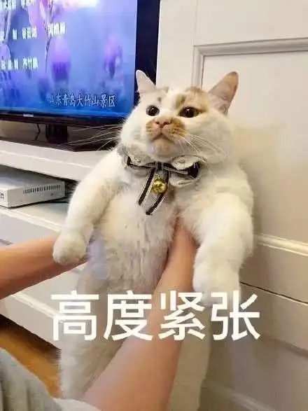  吐槽济那些年,我们一起有过的疑问