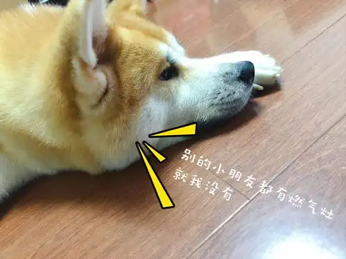  往后余生,我来做饭