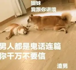  三个月后又有新欢,他的爱情太快就像龙卷风